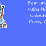 Best Cool, Funny PUBG Names + Clan & Crew Names [*2022*]