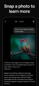 Grok AI screenshot