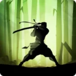 Shadow Fight 2