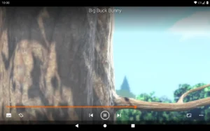 VLC screenshot