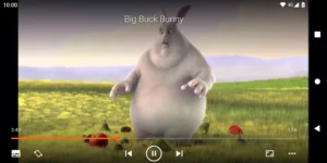 VLC screenshot
