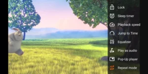 VLC screenshot