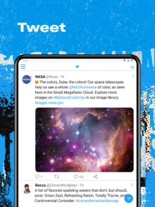 Twitter screenshot